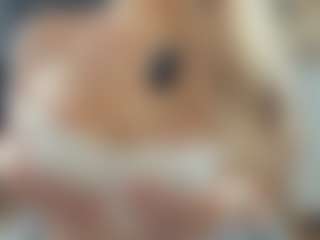 BelleDream's Live Sex Cam Show