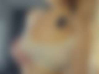 BelleDream's Live Sex Cam Show