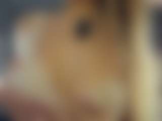 BelleDream's Live Sex Cam Show