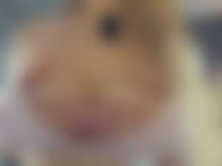 BelleDream's Live Sex Cam Show