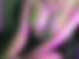 hainnahh's Live Sex Cam Show