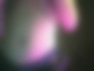 hainnahh's Live Sex Cam Show