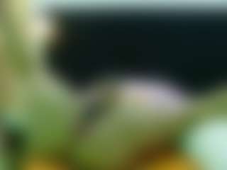 Live cam show with Madisson022 - Lush Mature on crypto-cams