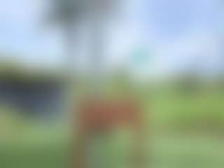 AliceMrtnz's Live Sex Cam Show