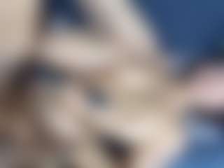 CerenYavuz's Live Sex Cam Show