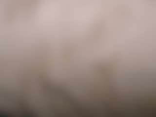 suzysuz's Live Sex Cam Show
