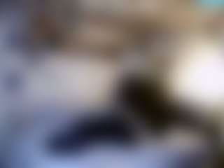 bigdikkpapii777's Live Sex Cam Show