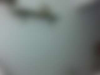 Cocolefeme