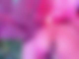CataleyaGlow's Live Sex Cam Show