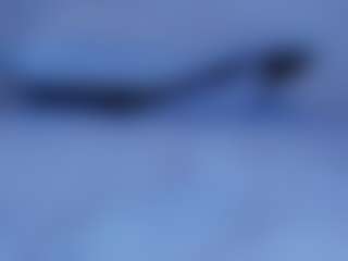 Live cam show with Horny - Pov on CSO-WL