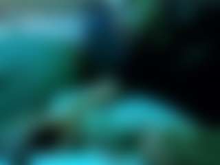 Live cam show with Miller - Handjob on Camming Site