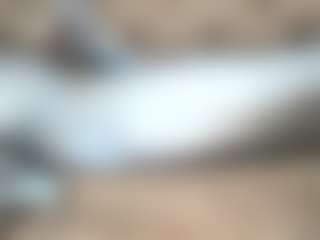 fuck dick's Live Sex Cam Show