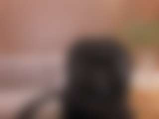 Chloe Preston's Live Sex Cam Show