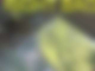 Live cam show with Ella-Vee - White on boobsie.com | romania