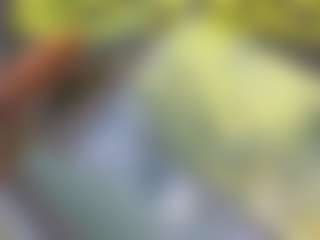 Live cam show with Ella-Vee - Average on liverealitysex.com