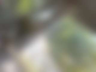 Ella-Vee's Live Sex Cam Show