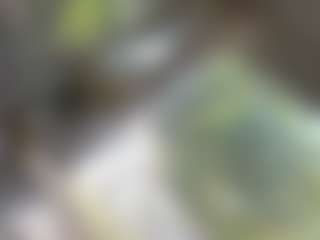 Ella-Vee's Live Sex Cam Show