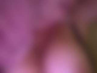 alexa54's Live Sex Cam Show