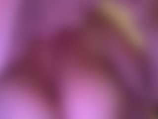 alexa54's Live Sex Cam Show