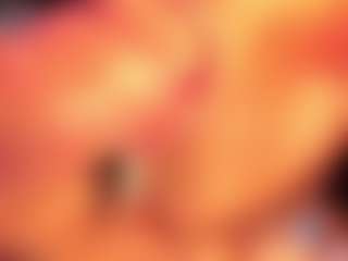 Dakota Wangi's Live Sex Cam Show