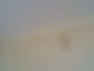 JesicaMillz's Live Sex Cam Show