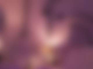 darkangelx's Live Sex Cam Show