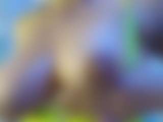 nico-ferrer's Live Sex Cam Show