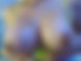 nico-ferrer's Live Sex Cam Show