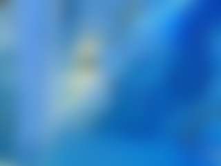 nico-ferrer's Live Sex Cam Show