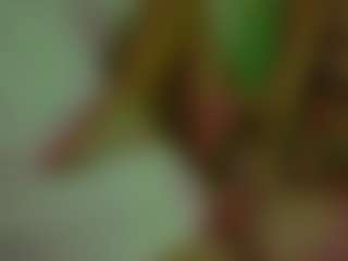 HoneyMolly's Live Sex Cam Show