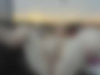 Live cam show with AliceCat - Cum Mature on x69.live