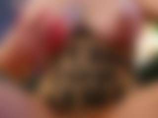 Live cam show with AlenaRios - Big Cock on Camsoda