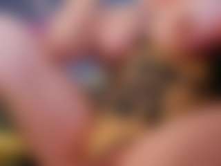Live cam show with AlenaRios - Brown Eyes on Camsoda