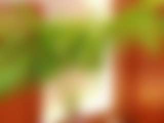 Live cam show with lissafeniix - Fingering Latina on xxxlivecams.org | colombia