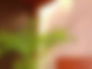 lissafeniix's Live Sex Cam Show