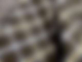 CatalinaHall's Live Sex Cam Show