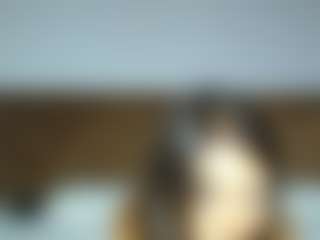 aylinhoney08's Live Sex Cam Show