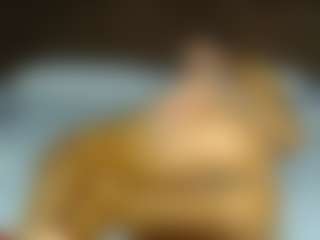 aylinhoney08's Live Sex Cam Show