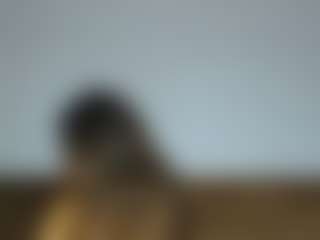 aylinhoney08's Live Sex Cam Show