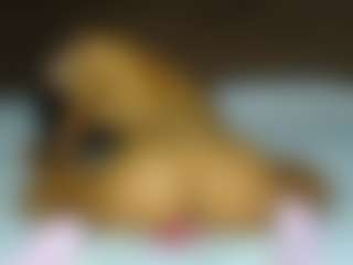 aylinhoney08's Live Sex Cam Show