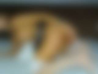 aylinhoney08's Live Sex Cam Show