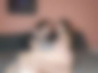katusha008's Live Sex Cam Show