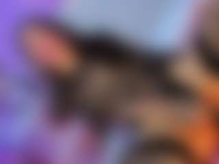 Live cam show with VeronicaRosee - No Drinking on AdultVida.com