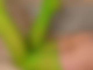 Live cam show with KattiKiss - Muscle on CamSodaAdn