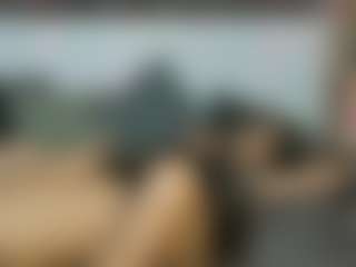 MilfStars's Live Sex Cam Show