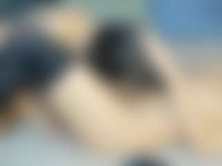 MilfStars's Live Sex Cam Show