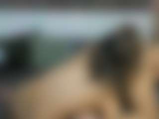 MilfStars's Live Sex Cam Show