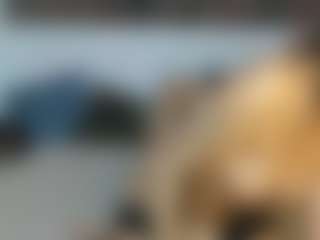 Live cam show with MilfStars - Cock Rating on Dolls Live