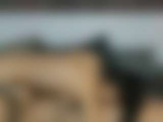Live cam show with MilfStars - Brown Hair on Hubzter Live