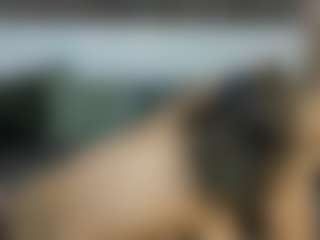 Live cam show with MilfStars - Cum On Pussy on livesuperchat.net